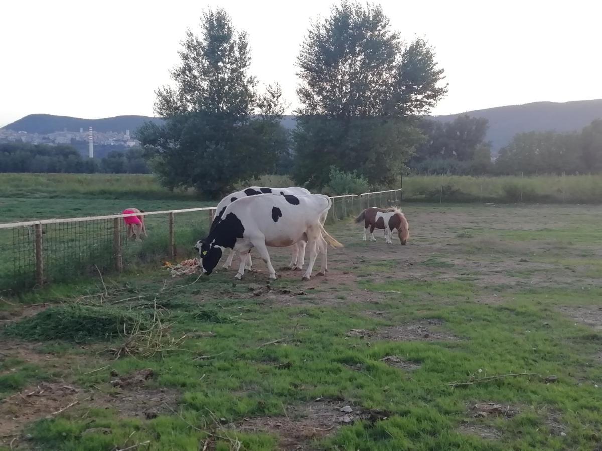 Agriturismo Tenuta Filippi ナルニ エクステリア 写真