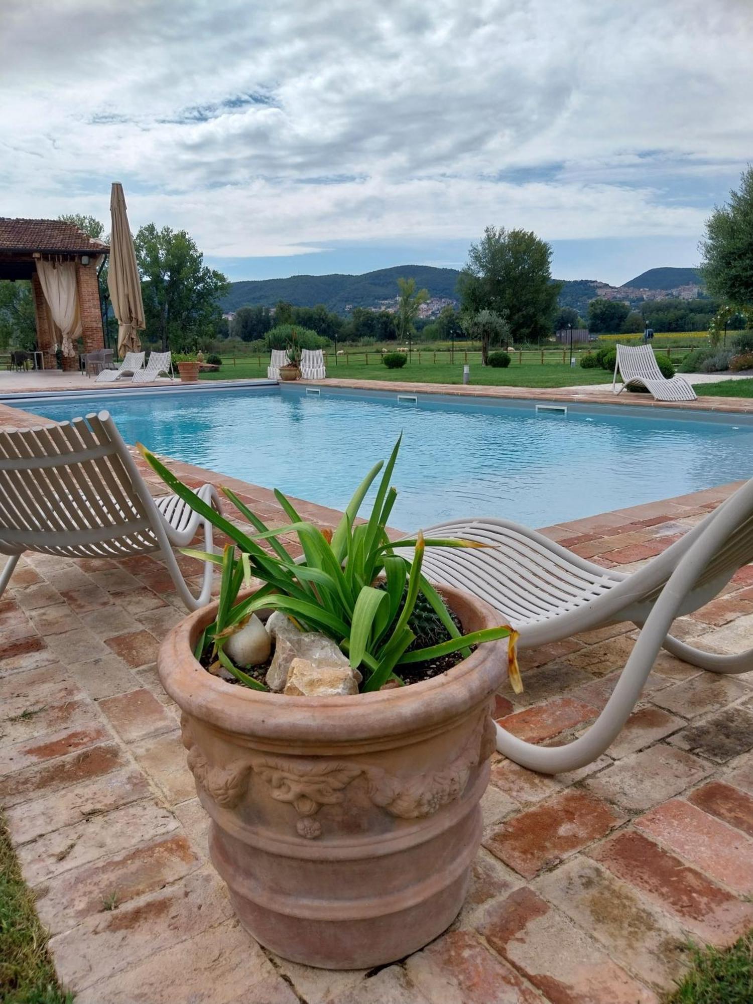 Agriturismo Tenuta Filippi ナルニ エクステリア 写真